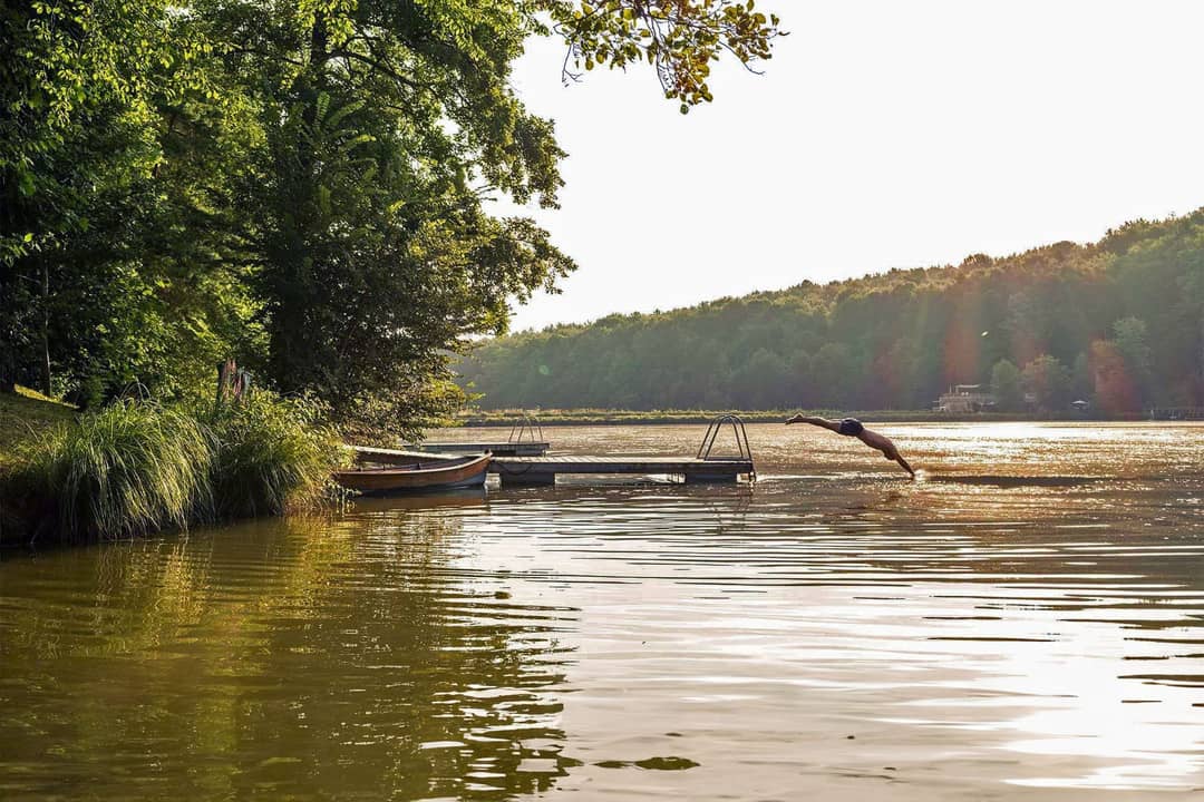 Forest Glamping Resort Blaguš