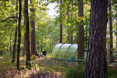 Camping Les Pins Onlycamp