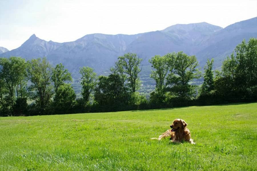 Camping Saint-Bonnet-en-Champsaur