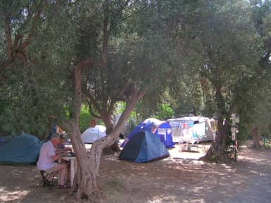 Camping Degli Ulivi