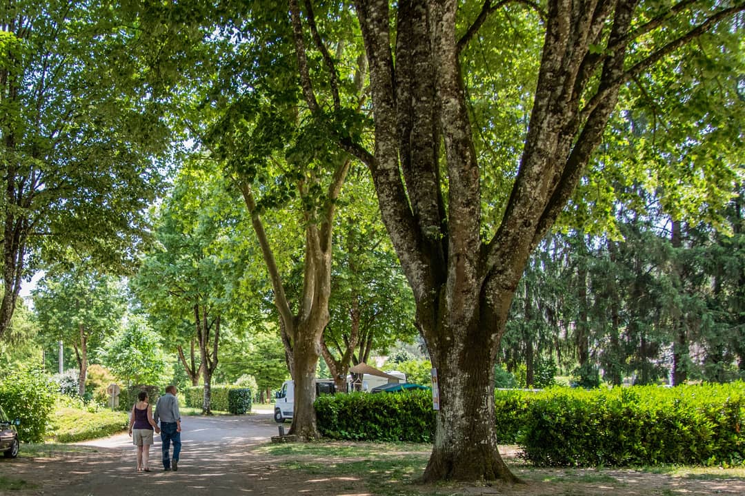 Camping Les Premières Vignes Onlycamp