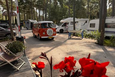 Camp na Wydmie