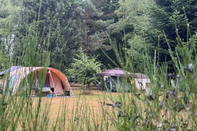 Camping Domaine de Lallé