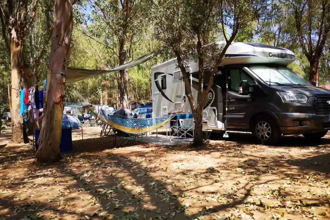 Camping Fico d'India