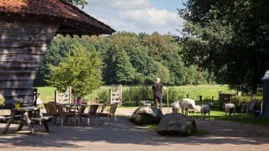 Bed and Breakfast Hoeve Springendal