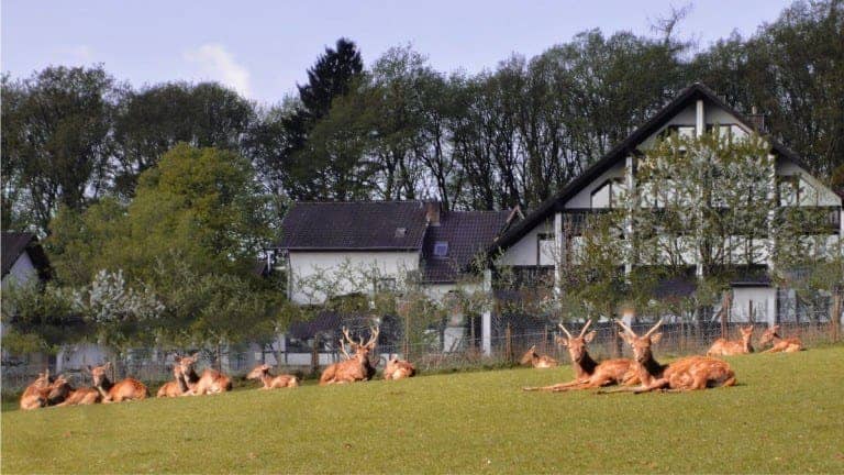 Hotel Belvilla Heiderhof