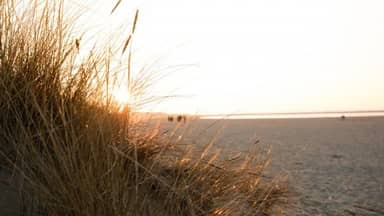 RCN Vakantiepark Toppershoedje - Hotelaccommodaties