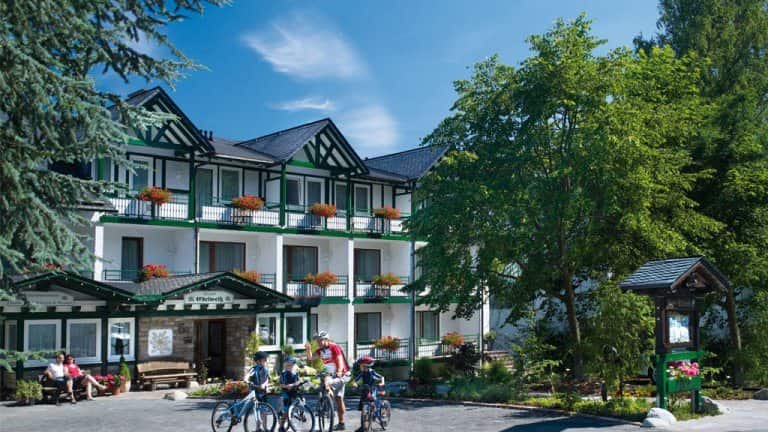 Hotel Edelweiss Willingen