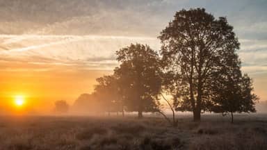 Fietsvakantie rondje Drenthe