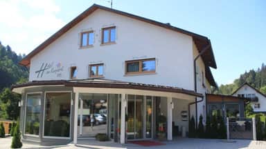 Hotel am Kurpark Todtmoos