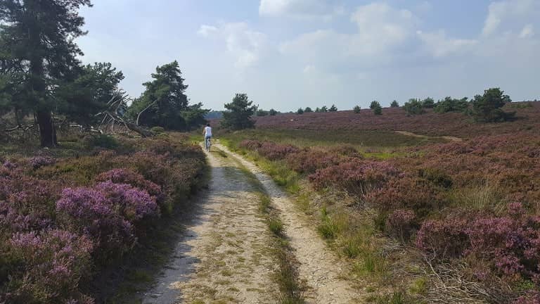 Bed and Breakfast Het Vinkenest