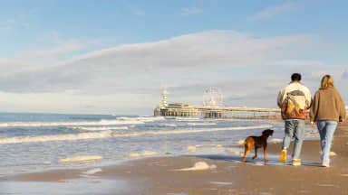 Ocean House Scheveningen