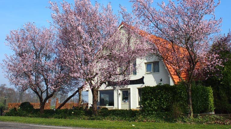B&B Sagenland