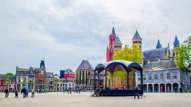 The Social Hub Maastricht
