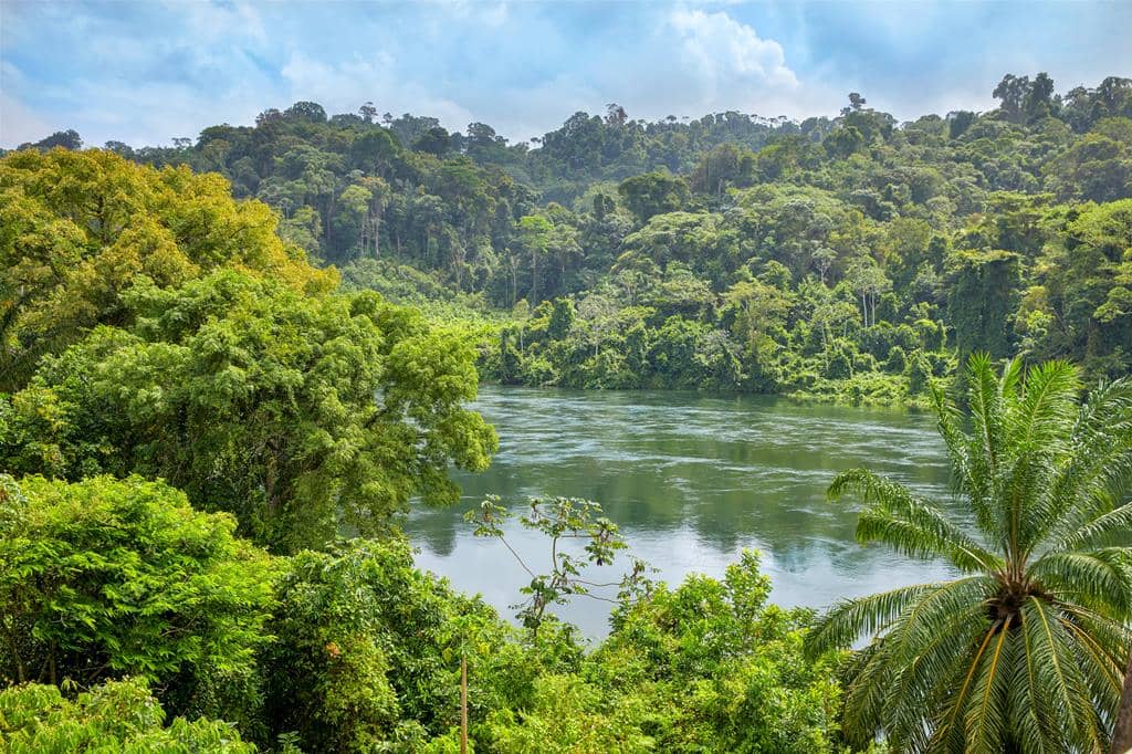 16 daagse fly drive Suriname Compleet