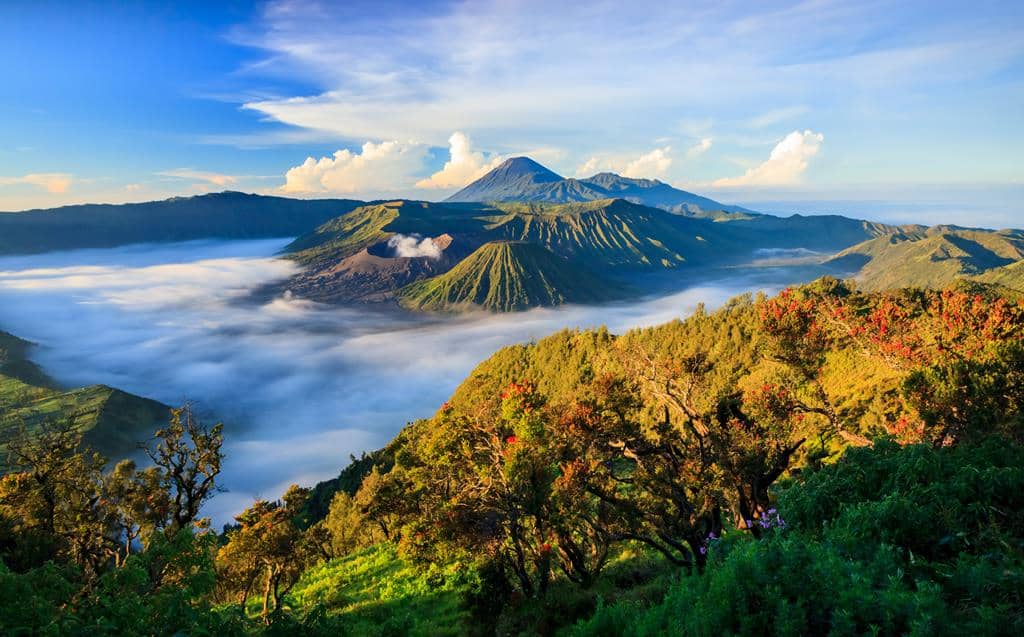 19-daagse rondreis Java & Bali