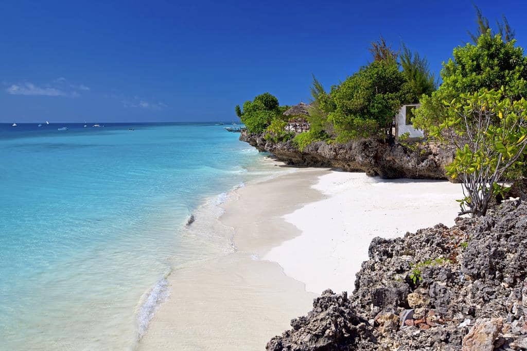 9 daagse safari Selous & Zanzibar deluxe