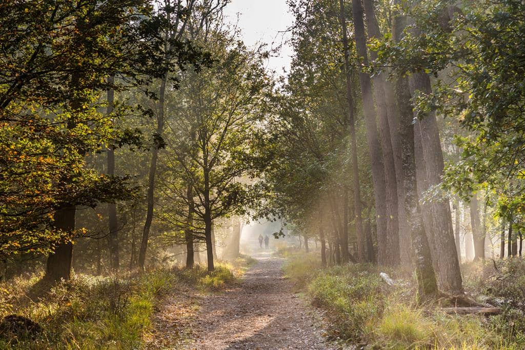 EuroParcs Hooge Veluwe
