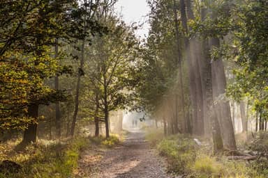 EuroParcs Hooge Veluwe
