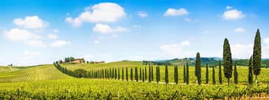 8-daagse rondreis Parels van Toscane
