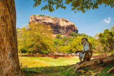19-daagse rondreis Parels van Sri Lanka