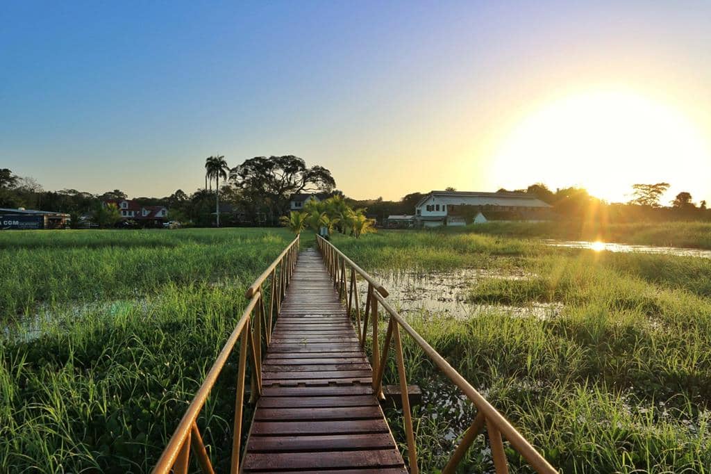 10 daagse reis a taste of Suriname