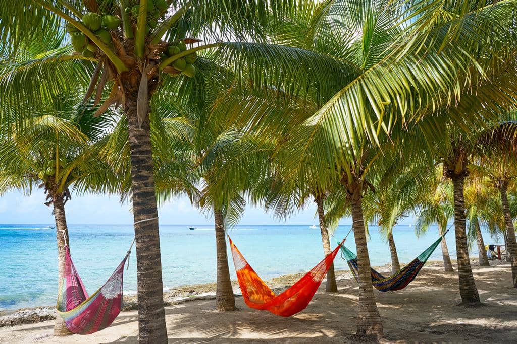 Cruise West Caribische Zee MSC World America
