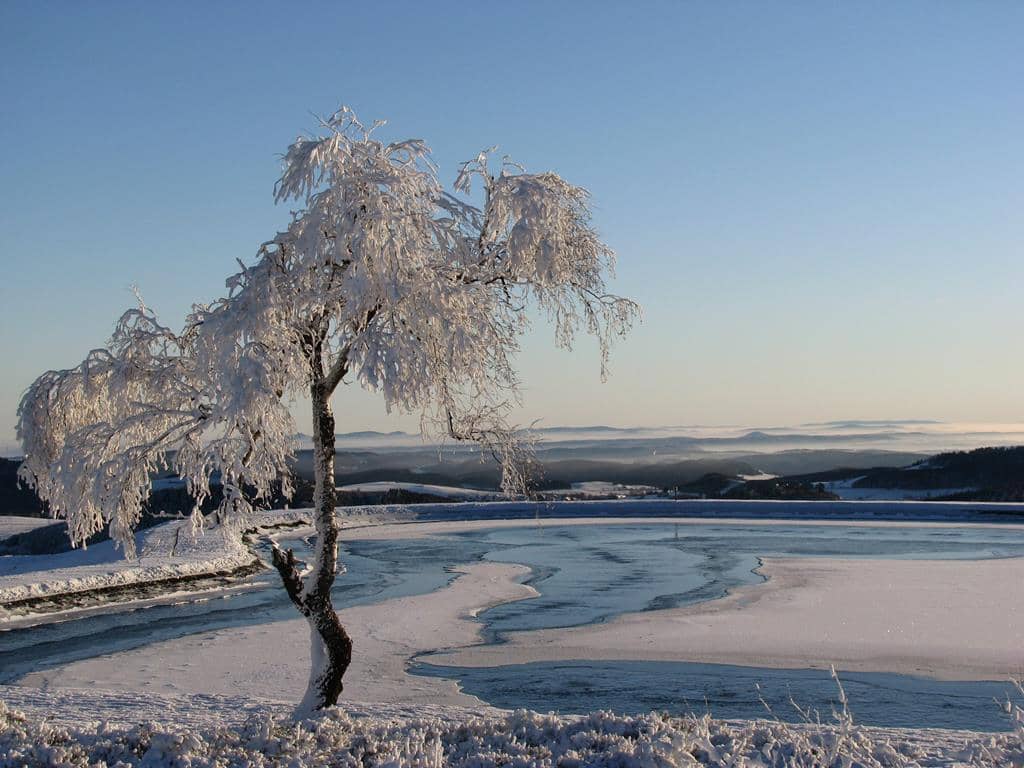 Chaletpark Diemelsee
