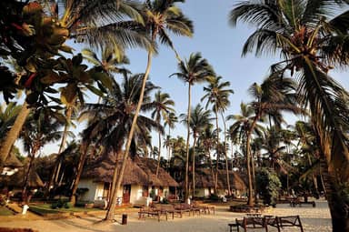 16 daagse safari Verrassend Tanzania & Zanzibar