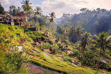 10 daagse reis Bali Strand & Cultuur