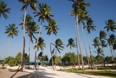 13 daagse safari The Mombasa Rendez Vous