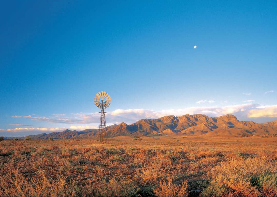 Outback & Wine vanuit Adelaide