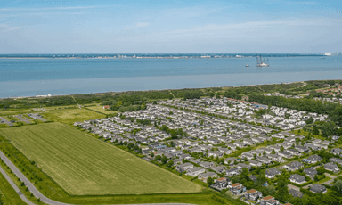 Schoneveld