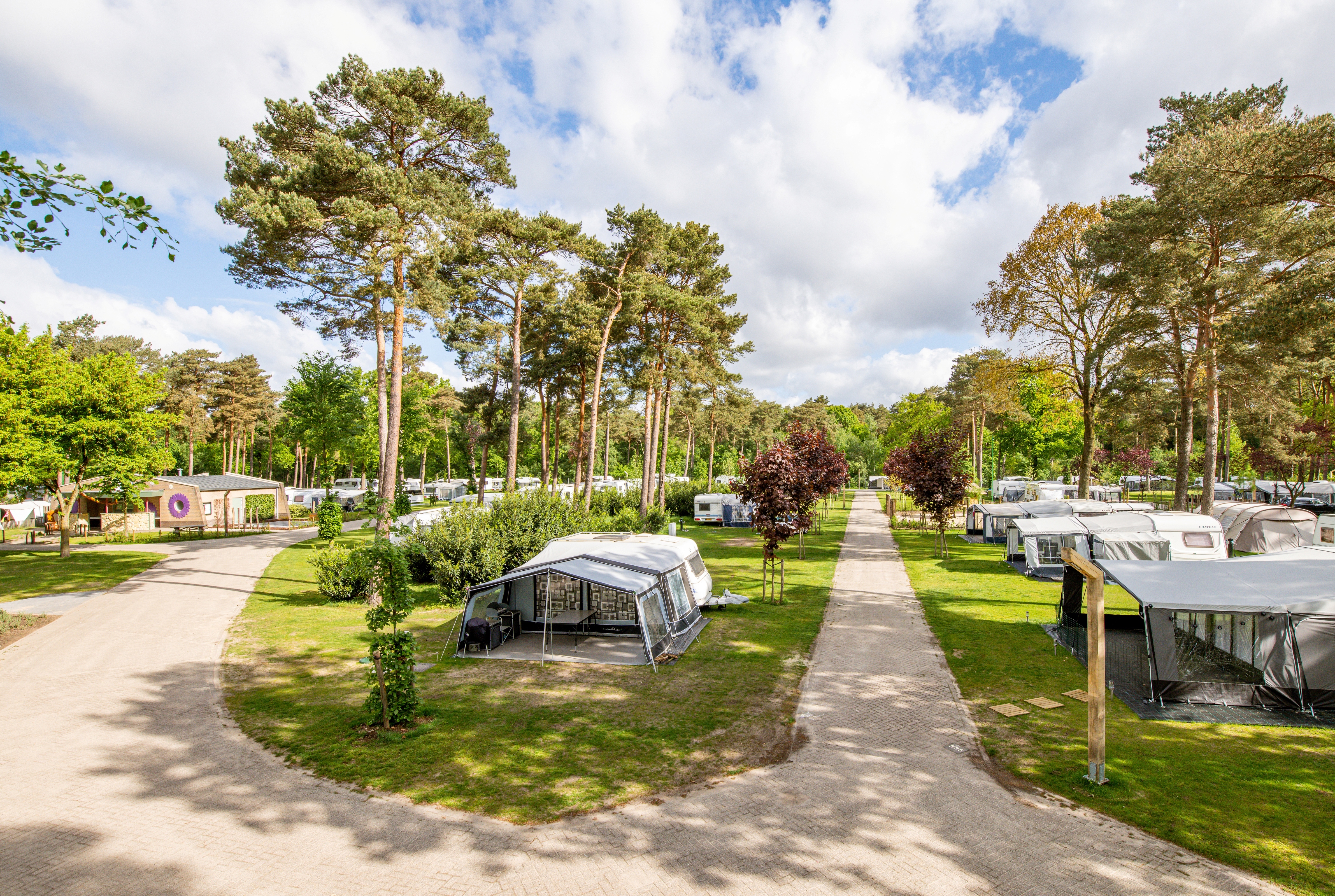 De Heldense Bossen
