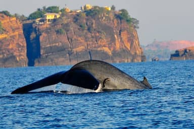 3-daagse bouwsteen Trincomalee