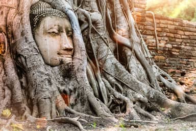Ayutthaya en Baan Hollanda