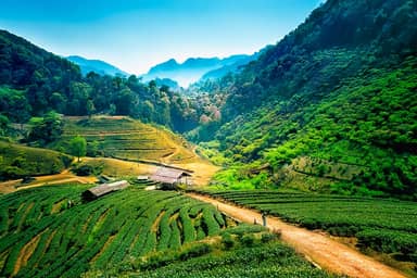 5-daagse bouwsteen Noord-Thailand