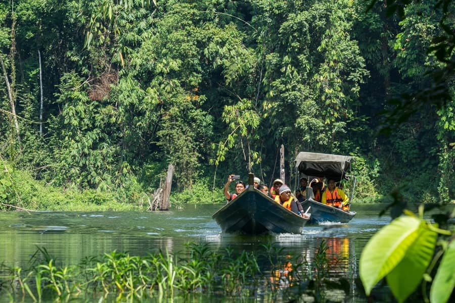 3-daagse bouwsteen Belum Rainforest