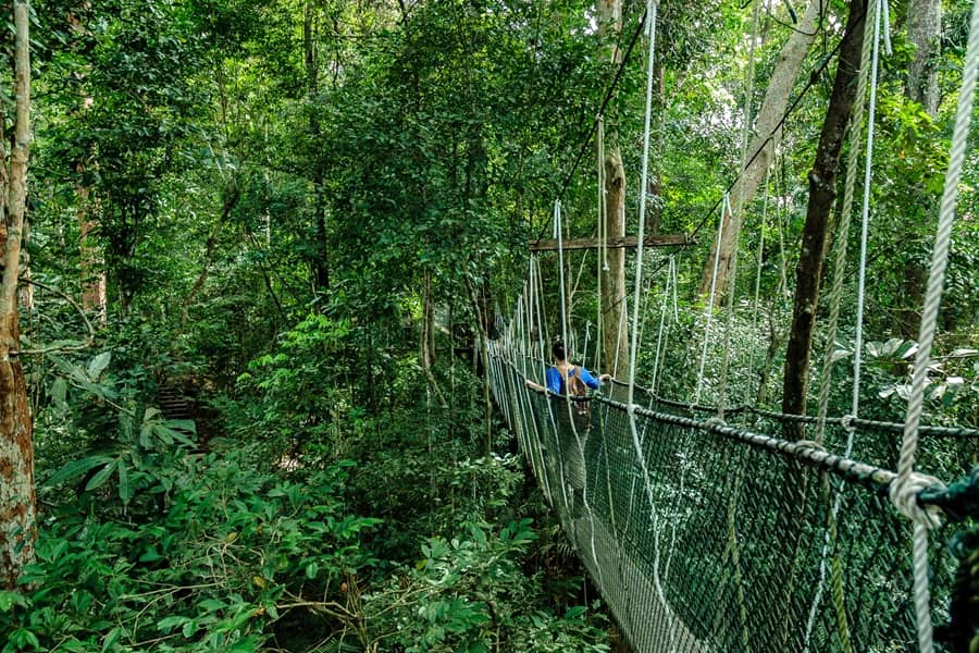 3-daagse bouwsteen Taman Negara