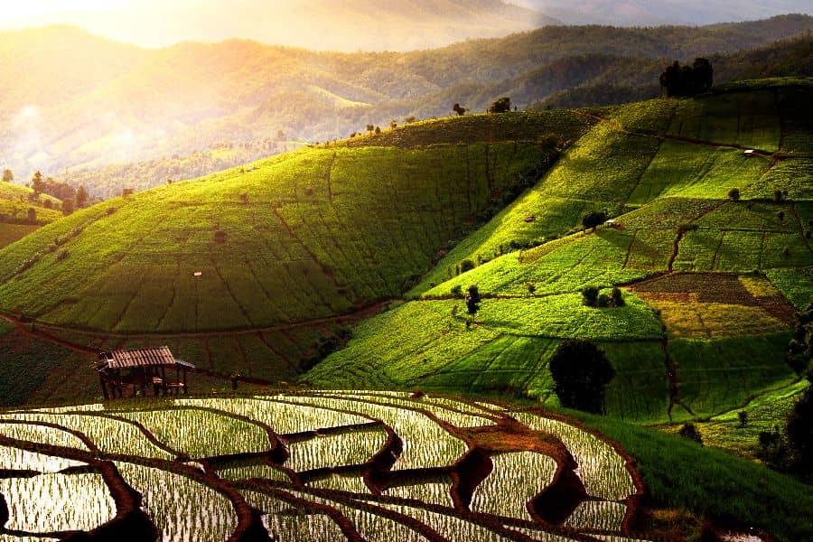 19-daagse rondreis Noord- en Zuid-Thailand