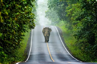 15-daagse rondreis Hart van Thailand