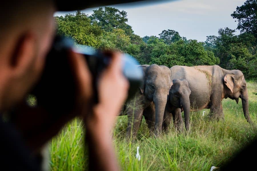 21-daagse rondreis Natuur en Wildlife Sri Lanka