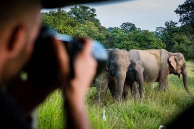 21-daagse rondreis Natuur en Wildlife Sri Lanka