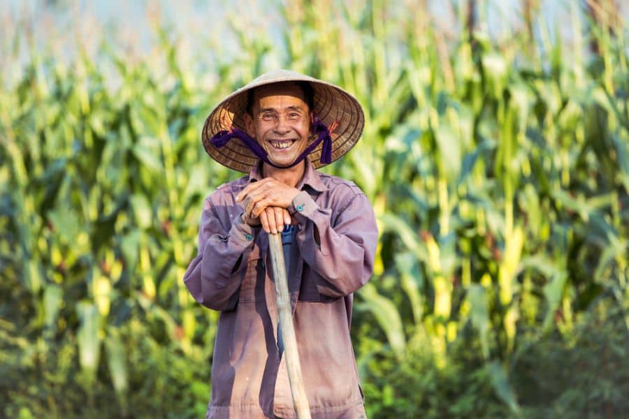 22-daagse rondreis Fair Deal Vietnam (Zuid naar Noord)