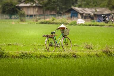 17-daagse rondreis Fair Deal Vietnam