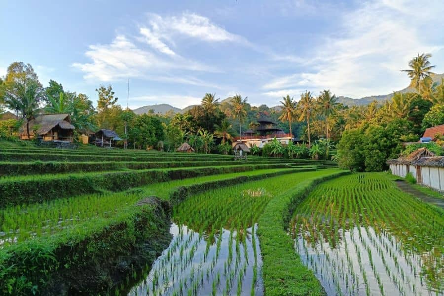 Trekking in Sambangan