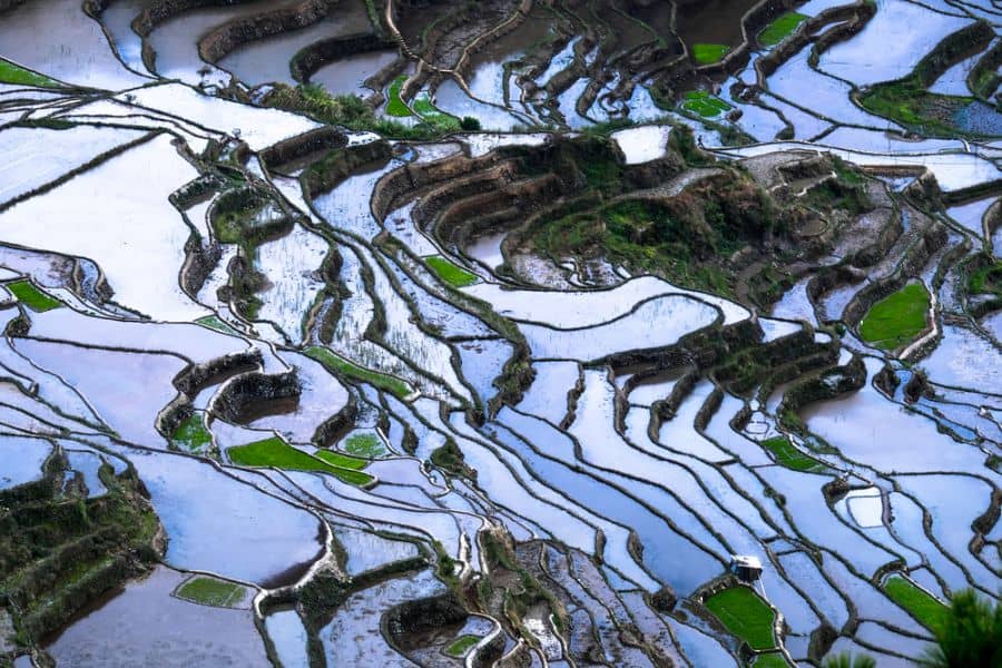 19-daagse rondreis Avontuurlijk Filipijnen
