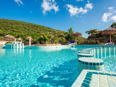 Camping Les Cerisiers du Jaur