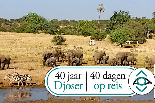 Rondreis Afrika, 42 dagen