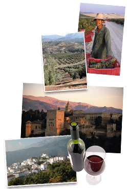 Wandelreis Andalusië - Spanje, 8 dagen
